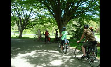 arborist tour